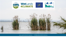 Cartell del Projecte LIFE Wetlands4Climate