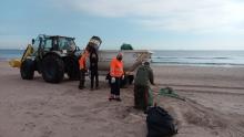 El servici Devesa-Albufera ha retirat fins a 7 m³ de residus de les platges