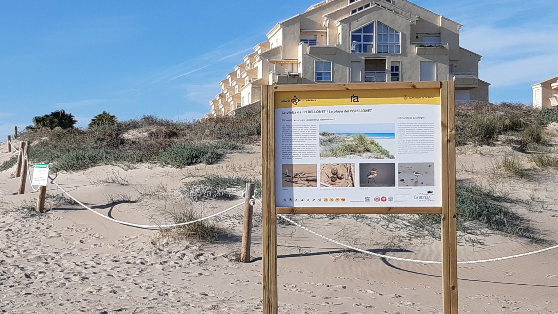 Nous cartells informatius a les dunes de la platja del Perellonet