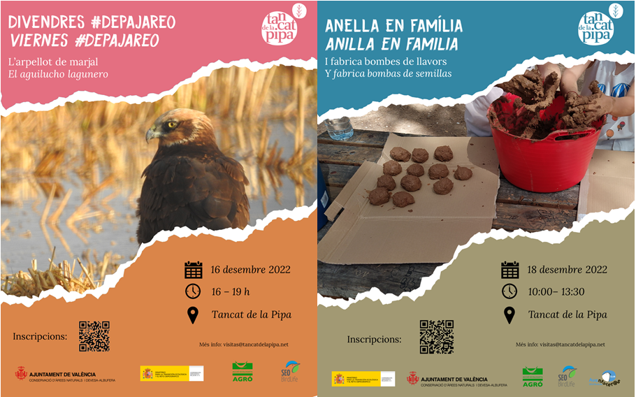 Últimes activitats de l'any al Tancat de la Pipa