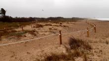 S'ha modificat el tancament de separació de les zones de cria del corriol camanegre en les platges i en l'estany de Pujol